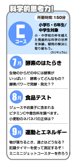 Cコース・カリキュラム