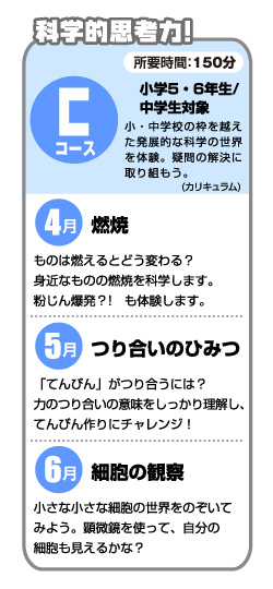 Cコース・カリキュラム