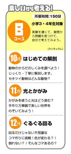 Bコース・カリキュラム